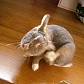 SANY0043.JPG