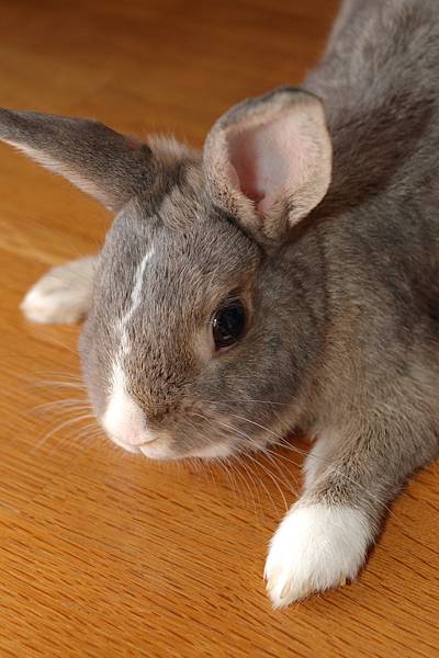 DSC_8543.jpg