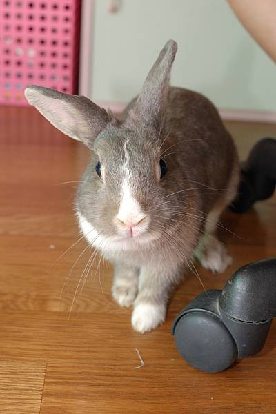 DSC_8545.jpg