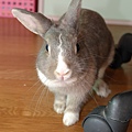 DSC_8545.jpg
