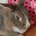 DSC_8551.jpg