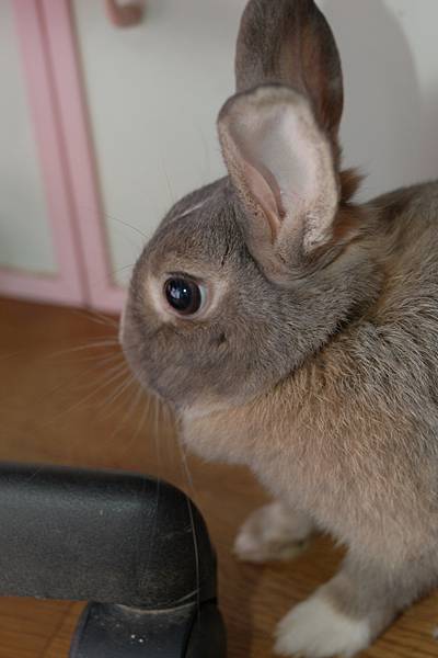 DSC_8570.jpg