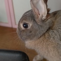 DSC_8570.jpg