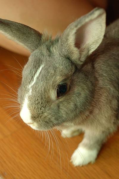 DSC_8574.jpg