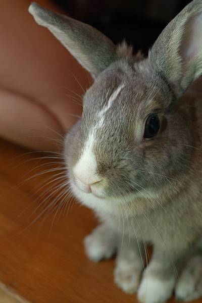 DSC_8577.jpg