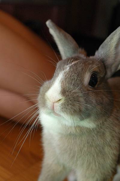 DSC_8578.jpg