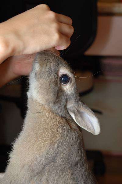 DSC_8588.jpg