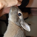 DSC_8588.jpg