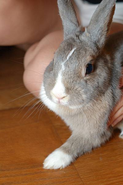 DSC_8598.jpg