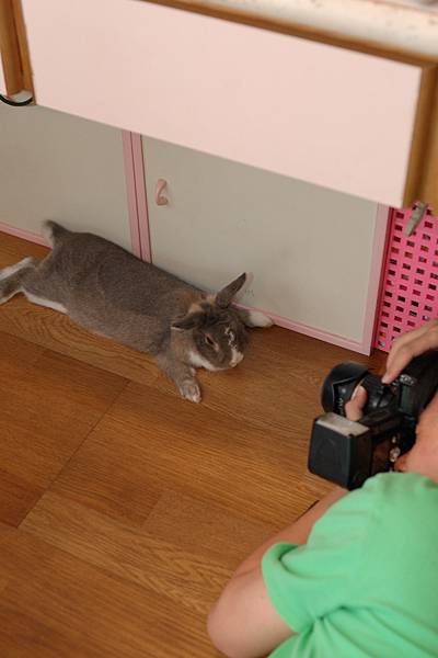 DSC_8611.jpg