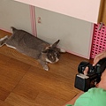 DSC_8611.jpg