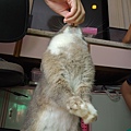 DSC_0402.jpg