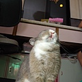 DSC_0403.jpg