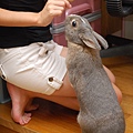 DSC_0415_1.jpg