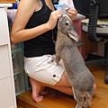DSC_0416.jpg