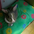 SANY0002.JPG