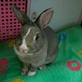 SANY0004.JPG