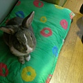 SANY0005.JPG