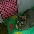 SANY0007.JPG