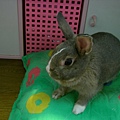 SANY0009.JPG