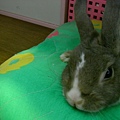 SANY0013.JPG