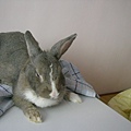 SANY0023.JPG