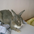 SANY0024.JPG