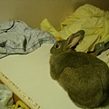 SANY0036.JPG