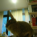 SANY0008.JPG