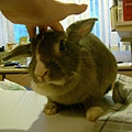 SANY0013.JPG
