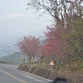 0207清境清靜183.JPG