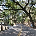 0207清境清靜38.JPG