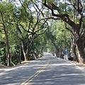 0207清境清靜41.JPG