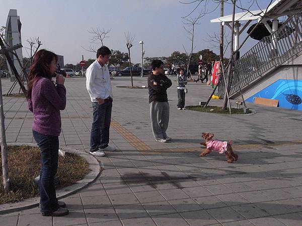 R0016878.jpg