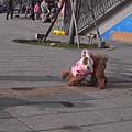 R0016879.jpg