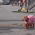 R0016880.jpg