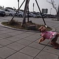 R0016884.jpg