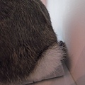 R0017507.jpg