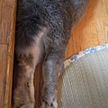 R0017623.jpg