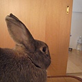 R0018558.jpg