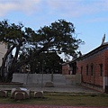 R0020966.jpg