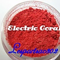 Electric Coral ，59缺貨