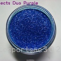 Reflects Duo Purple