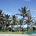 椰林 hoop.JPG