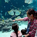 2015Okinawa_Day03_0074.jpg