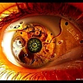 Amazing_Eye_Pictures__3.jpg