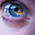 Amazing_Eye_Pictures__21.jpg