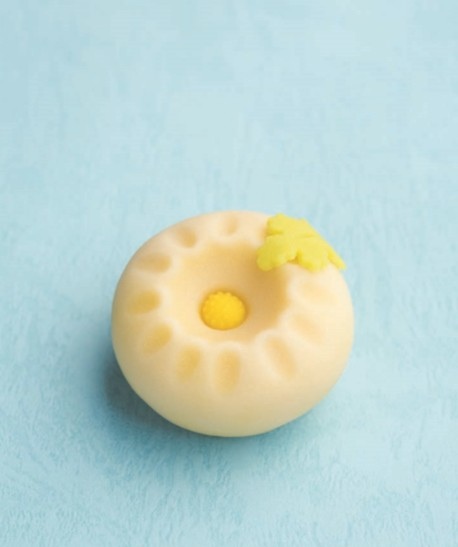 夏菊 夏菊