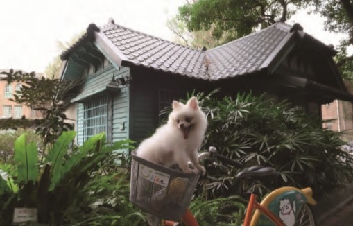 毛小孩圖.jpg 毛小孩圖.jpg