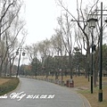 曲江池 (3).jpg